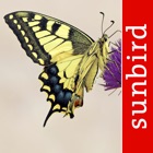 Top 12 Reference Apps Like Schmetterling Id - Tagfalter - Best Alternatives