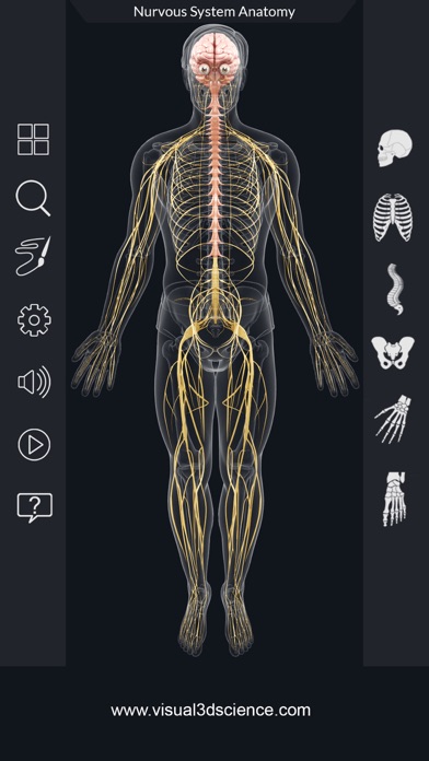My Nervous System Anatomy screenshot 2