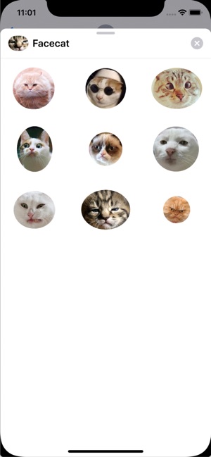 Facecats