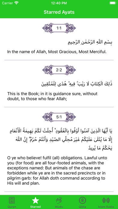 Quran ⁺ screenshot 3