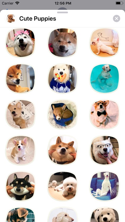 Cute Puppies Sticker Pack