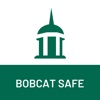 Bobcat Safe