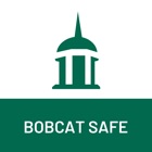 Bobcat Safe