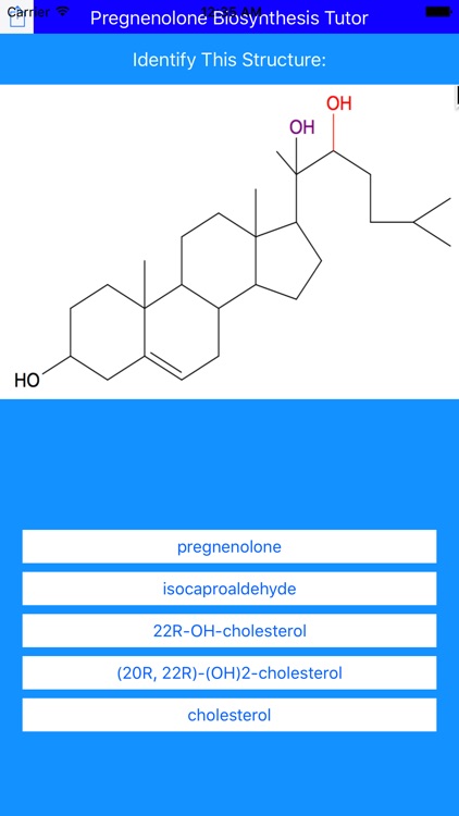 Pregnenolone Synthesis Tutor