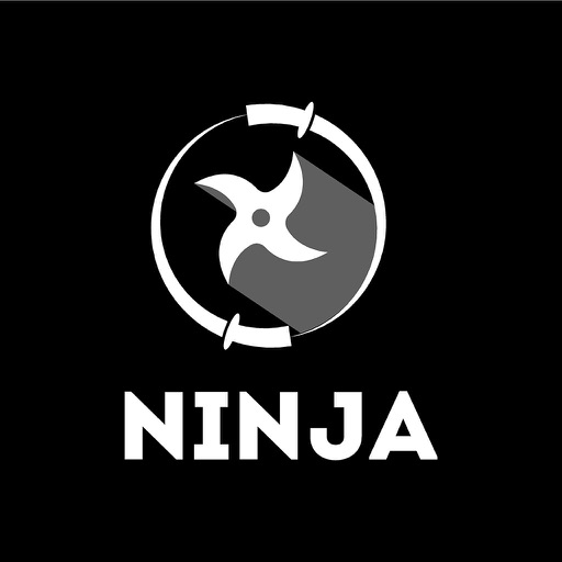 ninja slice