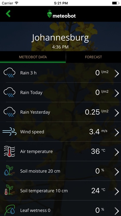 Meteobot