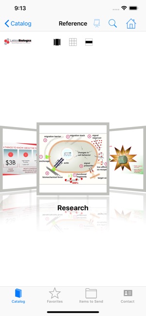 Lattice Biologics