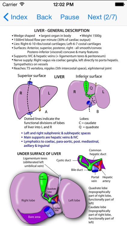 Anatomy Thorax and Abdomen screenshot-3