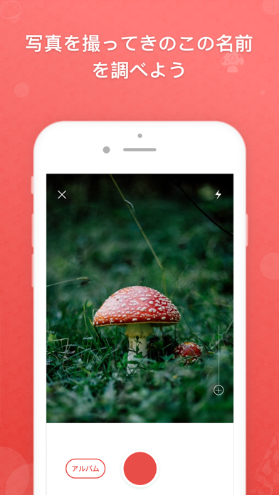 Picture Mushroom 1秒キノコ図鑑 Iphoneアプリ Applion