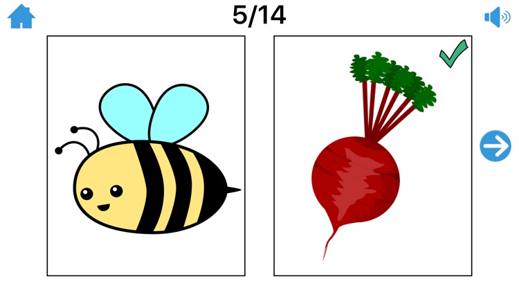 Minimal Pairs/Final Consonants