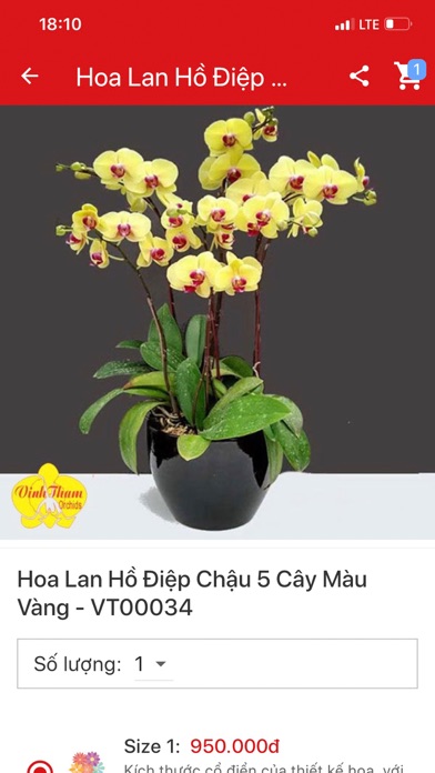 Vinh Thắm Orchids screenshot 4