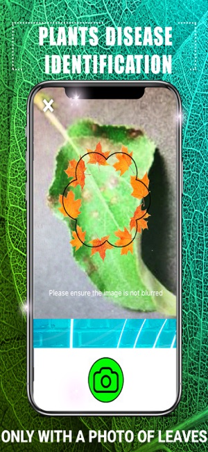 Plants Disease Identification(圖2)-速報App