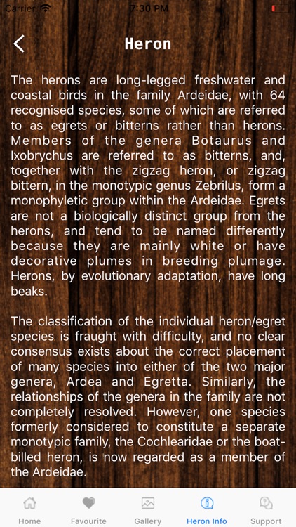 Herons Siege screenshot-4