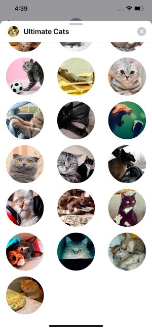 Ultimate Cats Sticker Pack(圖9)-速報App