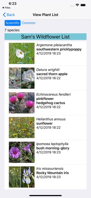 New Mexico Wildflowers(圖7)-速報App