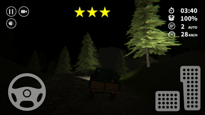 Cargo Truck Car Simulator 2020 screenshot 4