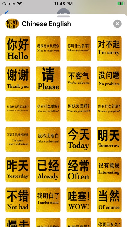 Chinese English screenshot-7