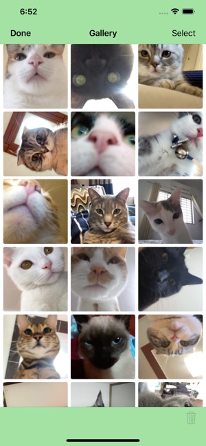 Cat Snaps(圖4)-速報App