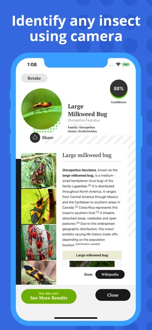 Insect Identification(圖2)-速報App