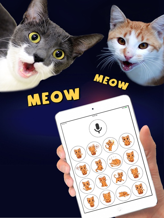 【图】Human to Cat Translator(截图3)