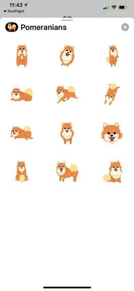 Game screenshot Pomeranians mod apk