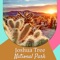 Our Joshua Tree National Park travel guide gives information on travel destinations, food, festivals, things to do & travel tips on where to visit and where to stay