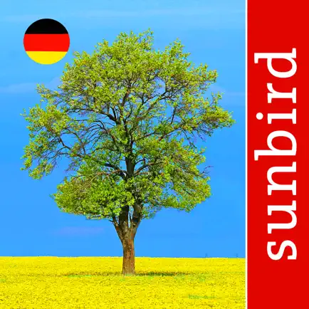 Baum Id Deutschland Читы