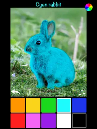 Screenshot 3 Color Zoo Lite iphone