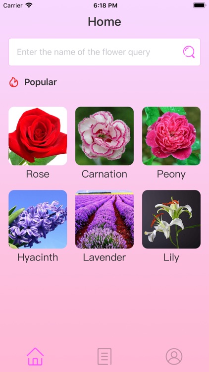 FlowersLanguages