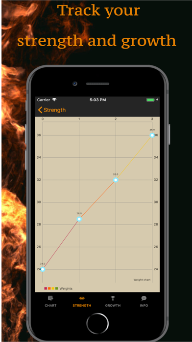 Muscle Gainer Full body plan screenshot 4