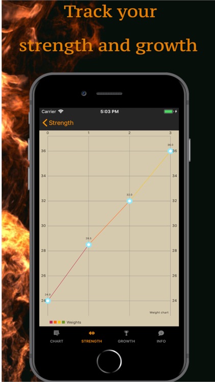 Muscle Gainer Full body plan screenshot-3