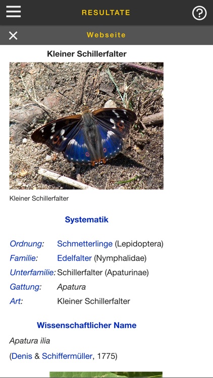 sCHmetterling screenshot-3