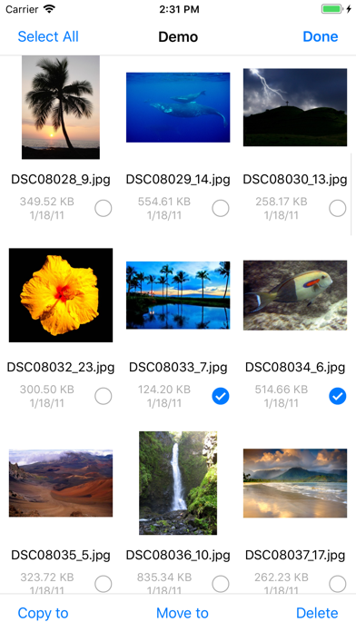 FileExplorer Screenshot 4