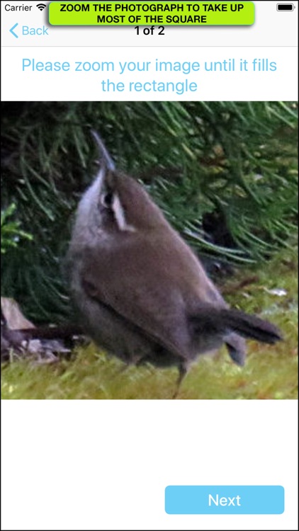 iBird Photo Sleuth screenshot-3
