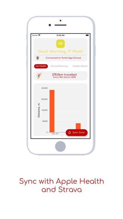 Strider by Tonbridge School