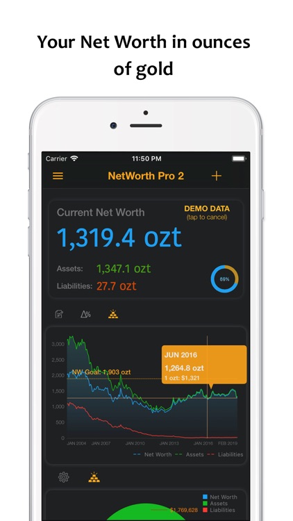 Net Worth Pro 2 screenshot-5