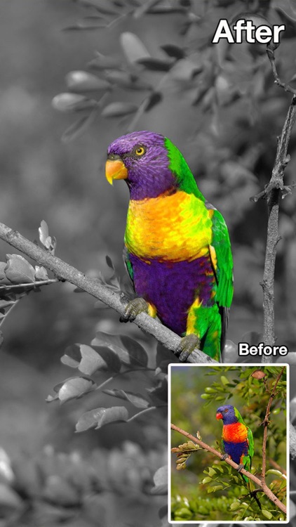 Color Changer-Coloring Editor screenshot-4