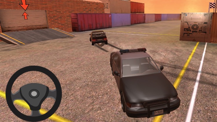 Police Car Driving Extreme screenshot-4