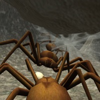 Spider Colony Simulator apk