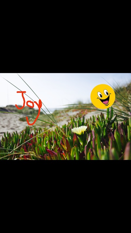 Philoma screenshot-4