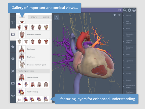 Thorax: 3D Real-time screenshot 2