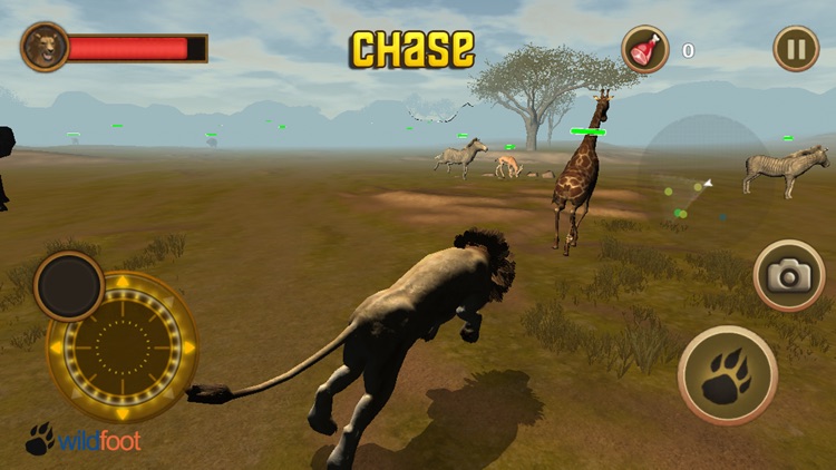 Lion Chase screenshot-3