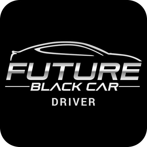 FutureBlackCar Driver