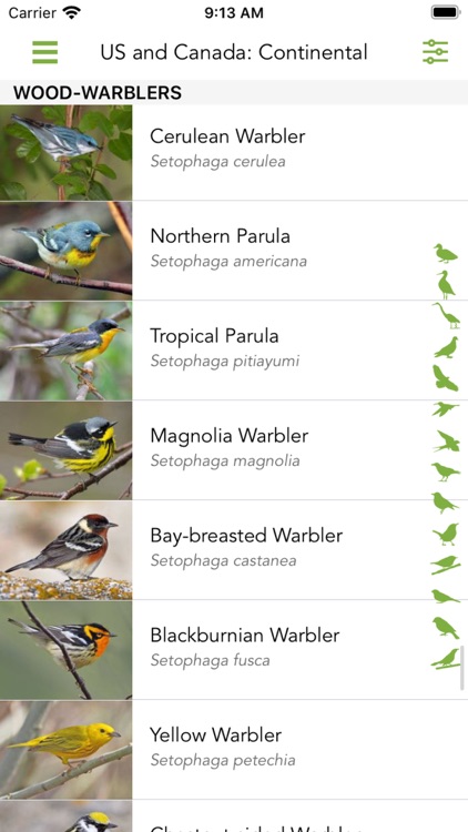 Merlin Bird ID by Cornell Lab screenshot-8