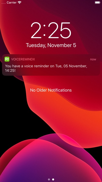 Voice Reminder X - voice memos screenshot-3