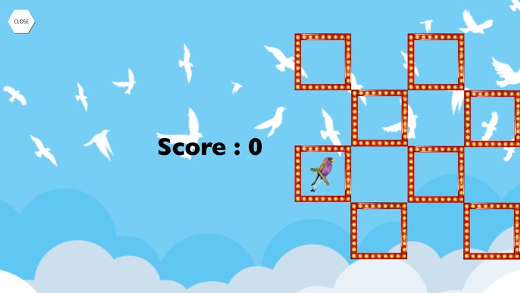 BirdOtap screenshot-4