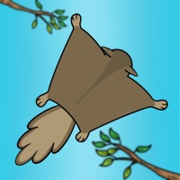 Flying Squirrel Nut hunt