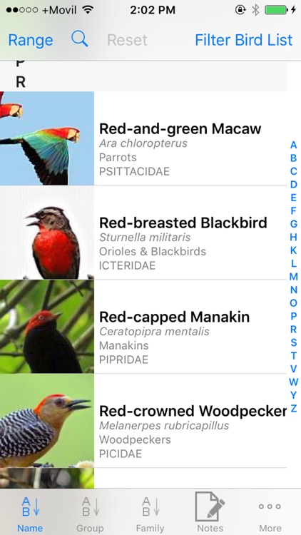 Panama Birds Field Guide Basic