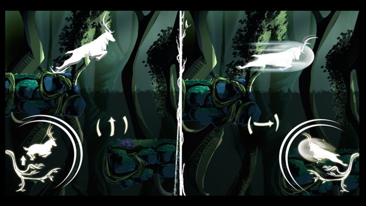 Patron saint of the jungle