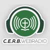 CERB RTV